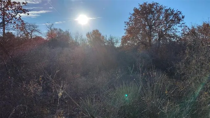 TBD Oakwoods S/Pvt Rd 354, Hawley, TX 79525 for Sale