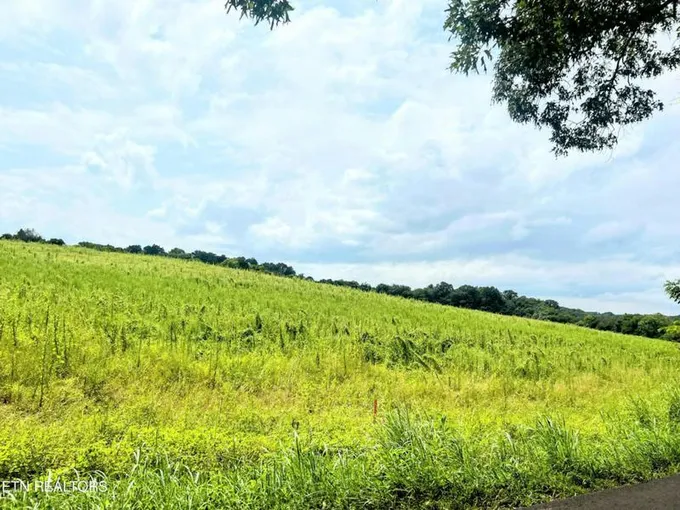 LOT 12R GRAVELLY HILLS RD, Louisville, TN 37777 Land For Sale  MLS# 1238135 for Rent