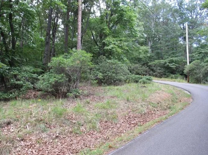 Lt1149 Oglethorpe Mt Rd, Jasper, GA 30143 - MLS 7275895 for Sale