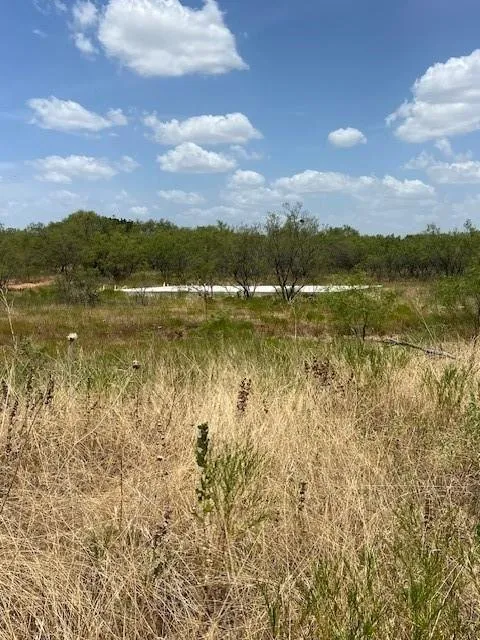 Gorman, Comanche County, TX Undeveloped Land for sale Property ID: 417153143