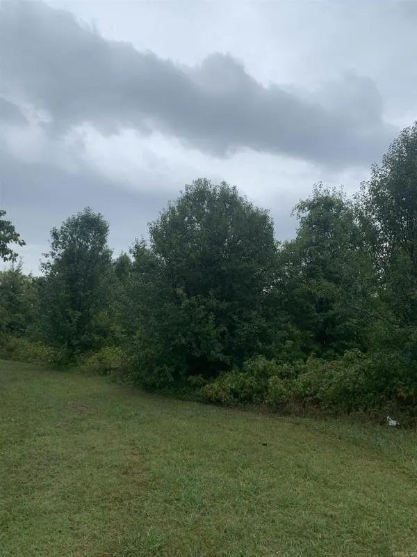 0000 S 5TH STREET, West Memphis, AR 72301 Land For Sale  MLS# 23031759