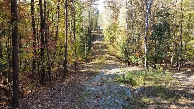 Troy, Montgomery County, NC Undeveloped Land for sale Property ID: 418366162