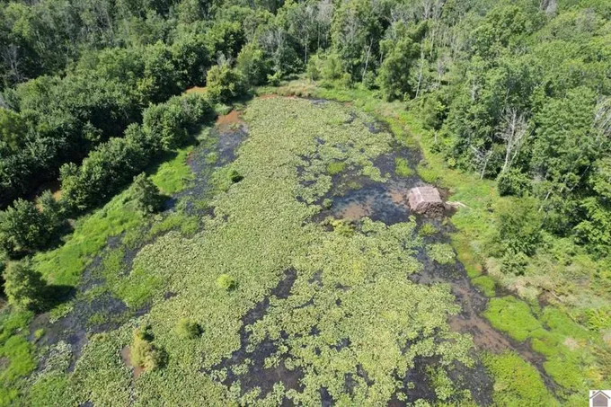 0 MAYFIELD ROAD, Wickliffe, KY 42087 Land For Sale  MLS# 122935