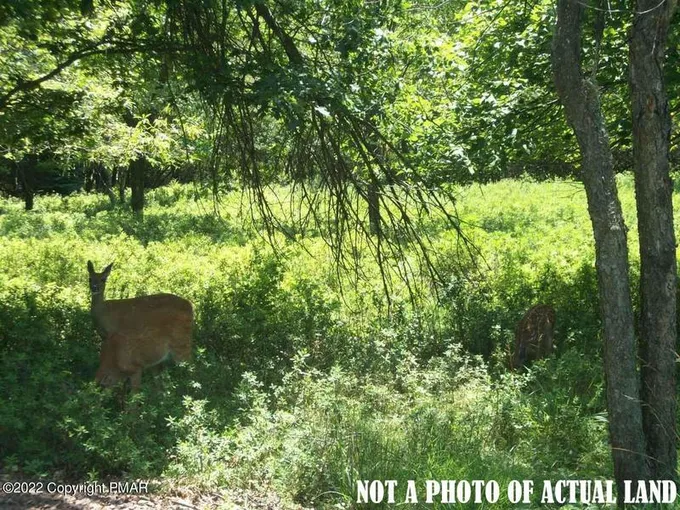 Jim Thorpe, Carbon County, PA Undeveloped Land, Homesites for sale Property ID: 412864132