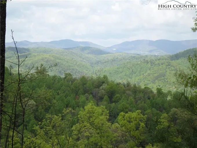 50/51 LAST CHANCE ROAD, Ferguson, NC 28624 Land For Sale  MLS# 245661