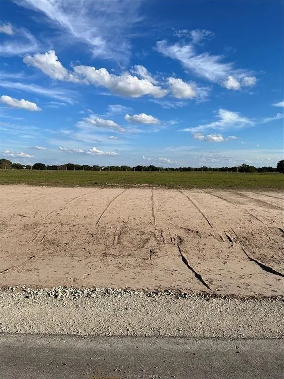 10709 Little Farm Road County Road, College Station, TX 77845 for Sale