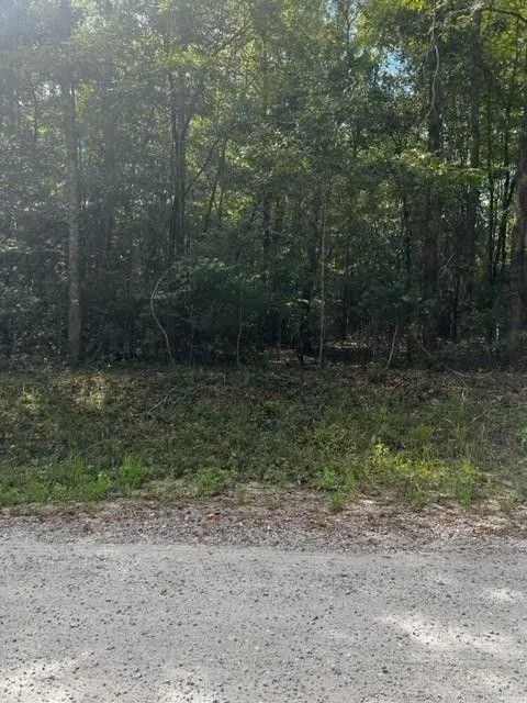 Hamilton, Harris County, GA Undeveloped Land for sale Property ID: 417606893