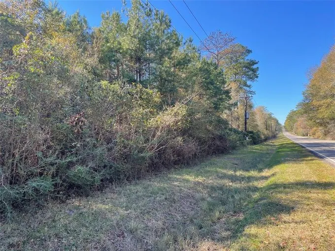 TBD Fm 1004, Call, TX 75933 for Sale