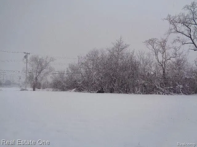 Detroit, Wayne County, MI Undeveloped Land, Homesites for sale Property ID: 415737238