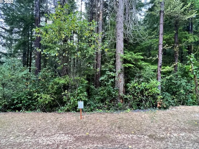 Little Woahink Dr #21, Florence, OR 97439 - MLS 22280088 for Sale