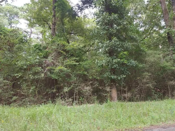 000 Wampum, Livingston, TX 77351 for Sale