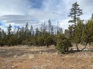 2180 W Whispering Springs, Show Low, AZ 85901 - MLS 249084 for Sale