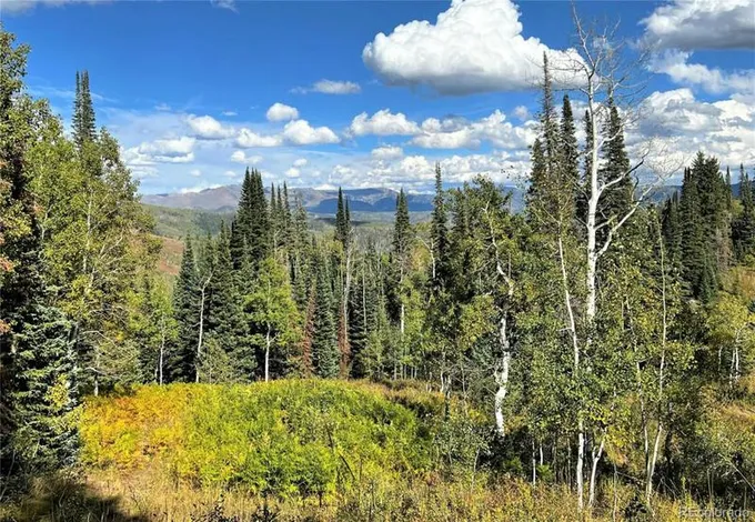 LT 21 BEAVER CANYON DR, Clark, CO 80428 Land For Sale  MLS# 4249898