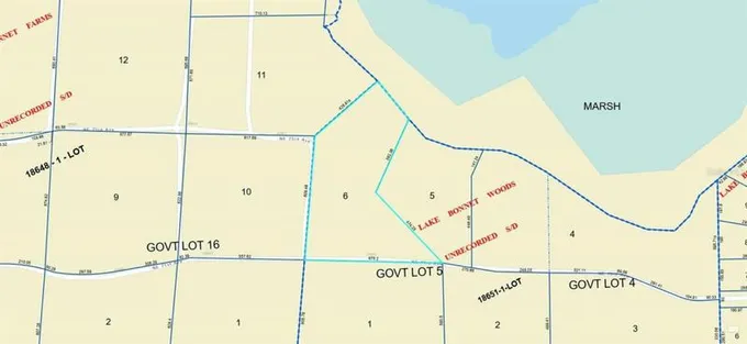 NE CR 1469, EARLETON, FL 32631 Land For Sale  MLS# P4928400