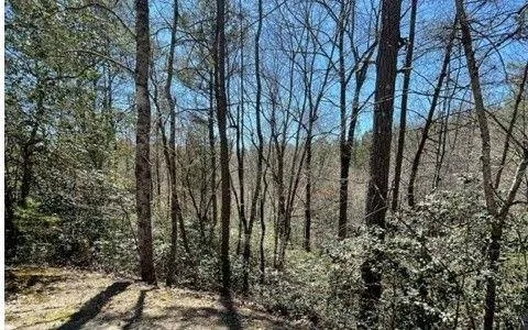 Warne, Clay County, NC Undeveloped Land, Homesites for sale Property ID: 332915042