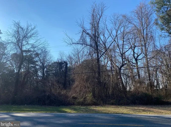 6 5 Acres Bi State Blvd, Delmar, MD 21875 - MLS MDWC2008062 for Sale