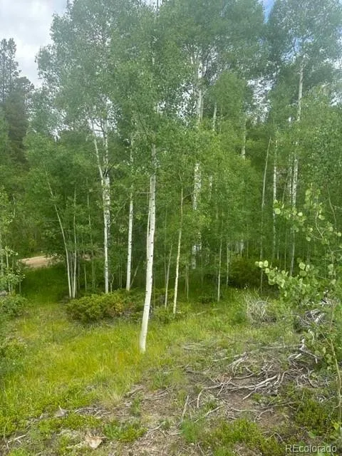 842 ELKDALE DR, Tabernash, CO 80478 Land For Sale  MLS# 8726877