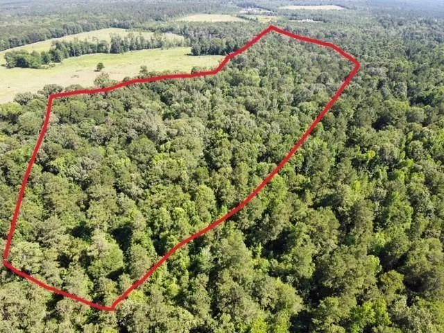 AB 247-2 County Road 416, San Augustine, TX 75972 for Sale