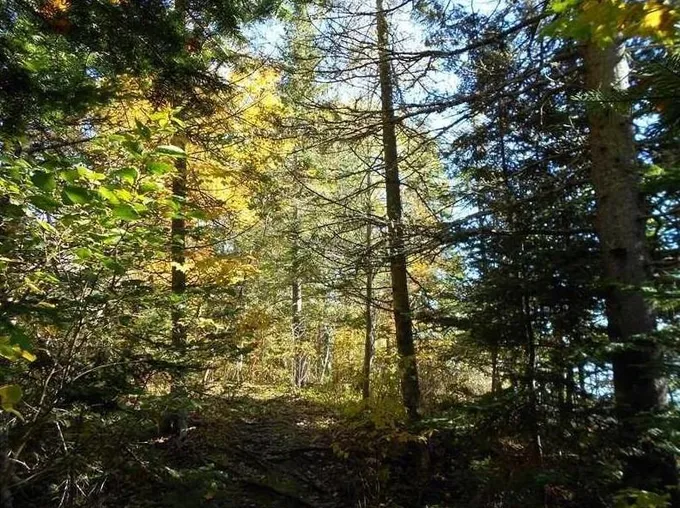 Lot 4 5 Justin Ln, Gouldsboro, ME 04607 - MLS 1579707 for Sale