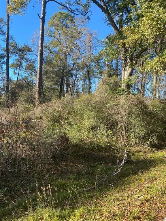 00 Glen Loch Dr, Spring, TX 77380 for Sale