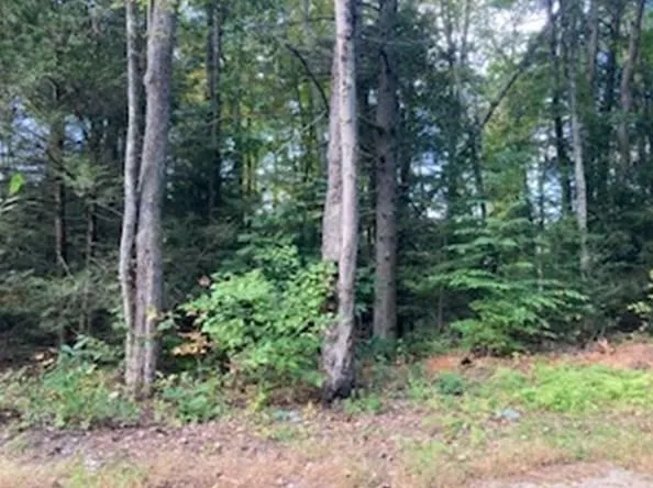 Lot 2 Carver St, Granby, MA 01033 - MLS 73165938 for Sale