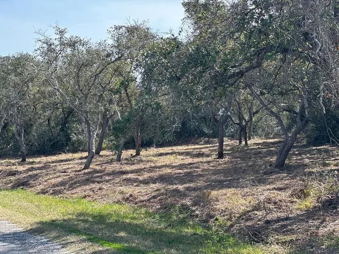 2539 Cr1996, Aransas Pass, TX 78336 for Sale