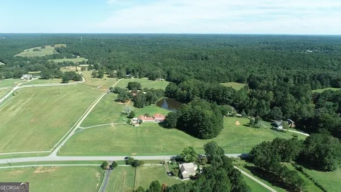 Mcdonough, Henry County, GA Undeveloped Land for sale Property ID: 417895086