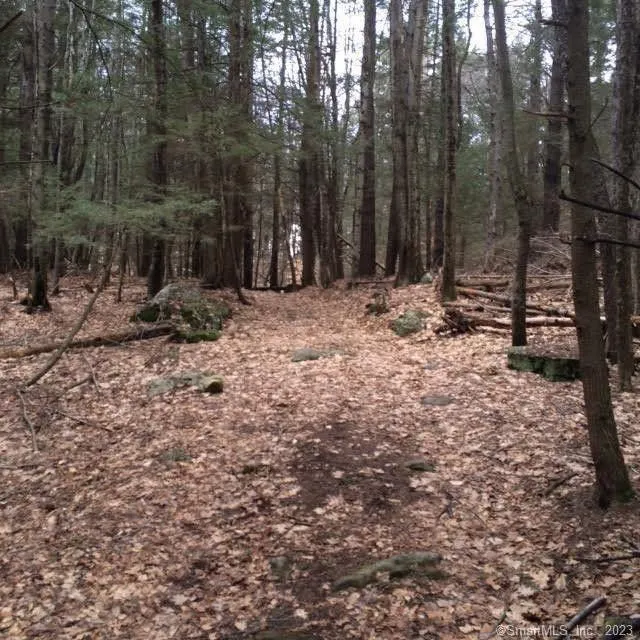 Hartland, Hartford County, CT Undeveloped Land, Lakefront Property, Waterfront Property for sale Property ID: 416795380