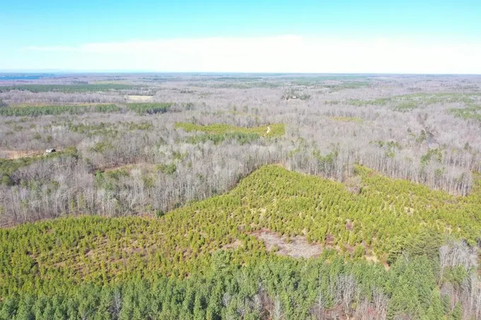 Beaverdam, Hanover County, VA Recreational Property, Timberland Property, Hunting Property for sale Property ID: 415886084