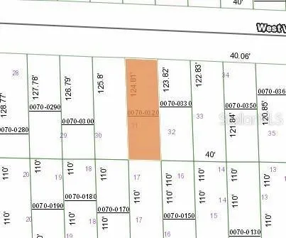 125 W VIRGINIA ST, HAWTHORNE, FL 32640 Land For Sale  MLS# FC296223