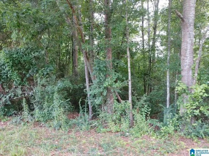 00 KINGSTON DRIVE # 2, SYLACAUGA, AL 35151 Land For Sale  MLS# 1362540