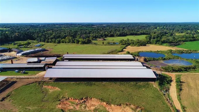 248 County Road 4310, Winnsboro, TX 75494 for Sale