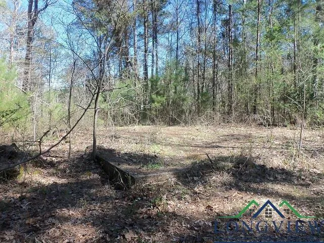 911 Helen Street, Overton, TX 75684 for Sale