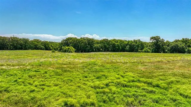 LOT 40 LEO LANE, Poolville, TX 76487 Land For Sale  MLS# 20498975