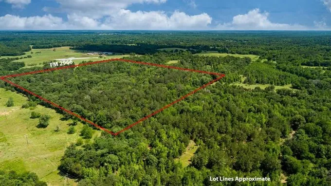 Quitman, Wood County, TX Undeveloped Land for sale Property ID: 416527423