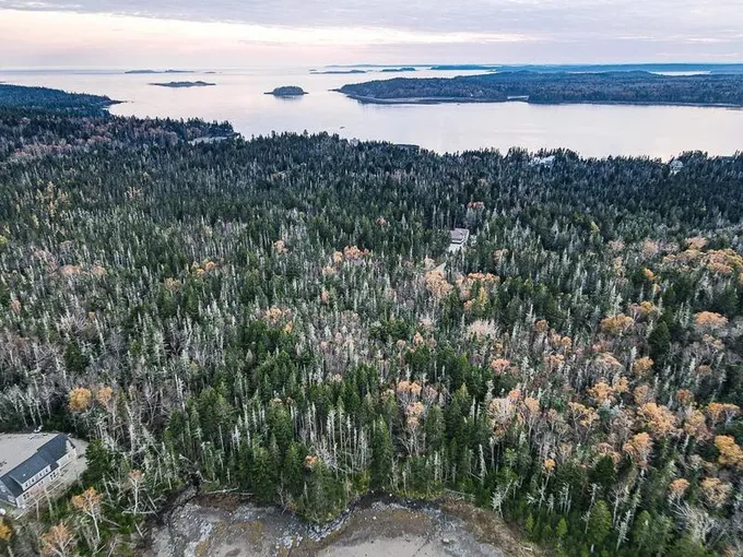 Machiasport, Washington County, ME Homesites for sale Property ID: 418085030