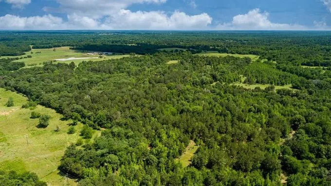 Quitman, Wood County, TX Undeveloped Land for sale Property ID: 416527424