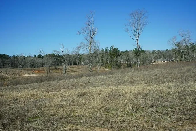 00010 Temple Lane, New Waverly, TX 77358 for Sale