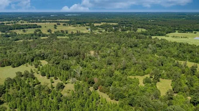Quitman, Wood County, TX Undeveloped Land for sale Property ID: 416527425
