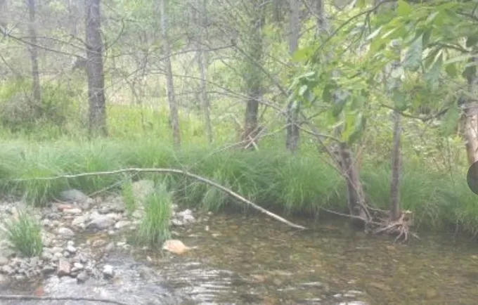 Weaverville, Trinity County, CA Recreational Property, Riverfront Property, Waterfront Property for sale Property ID: 417867220