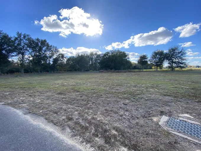Iowa, Calcasieu Parish, LA Undeveloped Land, Homesites for sale Property ID: 418627148
