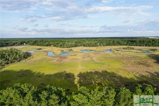 LOT 9 BAKER ISLAND WAY, Townsend, GA 31331 Land For Sale  MLS# 273315