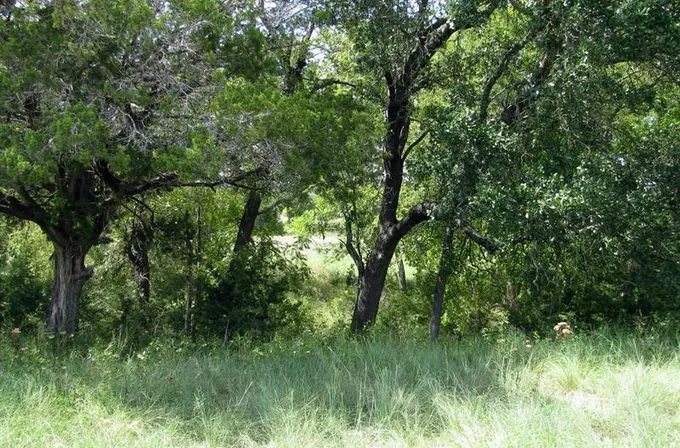 369 Private Road 305 Ln, Gatesville, TX 76528 for Sale