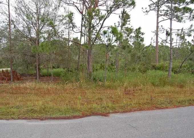 12022 Chapman Ave, Port Charlotte, FL 33953 - MLS O6080523 for Sale