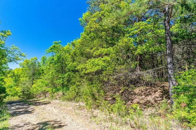 Fairfield Bay, Van Buren County, AR Undeveloped Land, Homesites for sale Property ID: 416375793