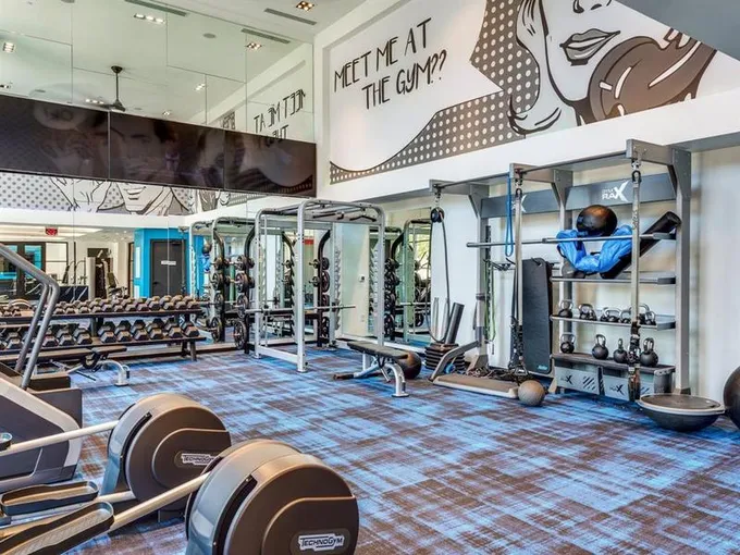1320 Montrose Blvd B1-440, Houston, TX 77019 for Rent