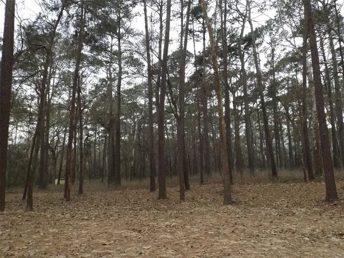 Lot 3 Block 3 Crooked Creek, Hockley, TX 77447 for Sale