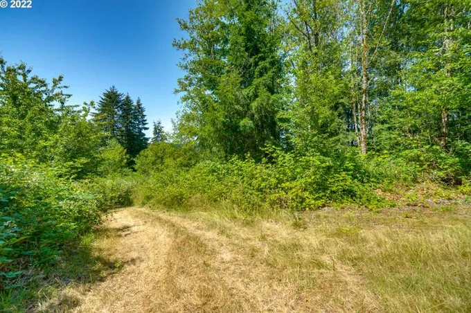 40100 NE 32nd Ave, La Center, WA 98629 - MLS 23671856 for Sale