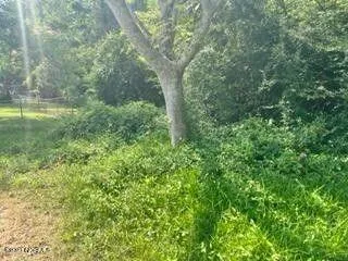 Newport, Carteret County, NC Undeveloped Land, Lakefront Property, Waterfront Property for sale Property ID: 416930803
