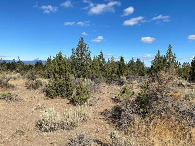 Terrebonne, Deschutes County, OR Undeveloped Land for sale Property ID: 418438825